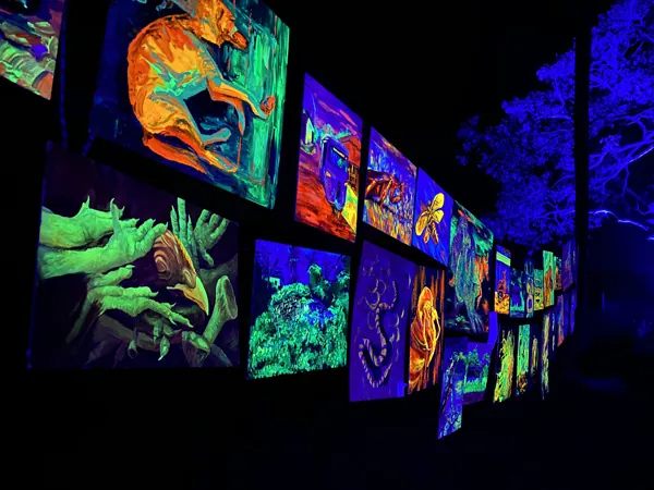 Exhibition view with paintings by Ilia Morozov